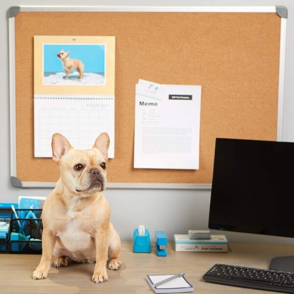 4*4 FT Inch Corkboard